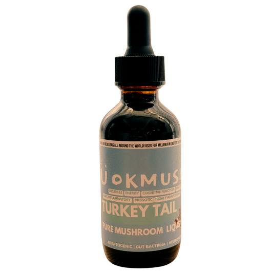 🦃 Turkey Tail Mushroom Extract Alcohol Free: Highly Adaptive To Your Unique Stressors 😌 60x 1000mg Servings